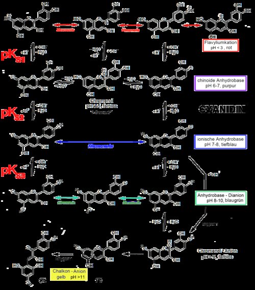 Indicatore universale - Wikipedia