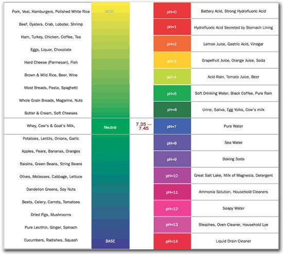 Food pH scale